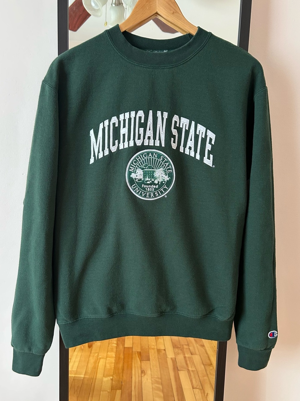 Vintage Y2K Michigan State Champion crewneck sweater sweatshirt collegiate NCAA